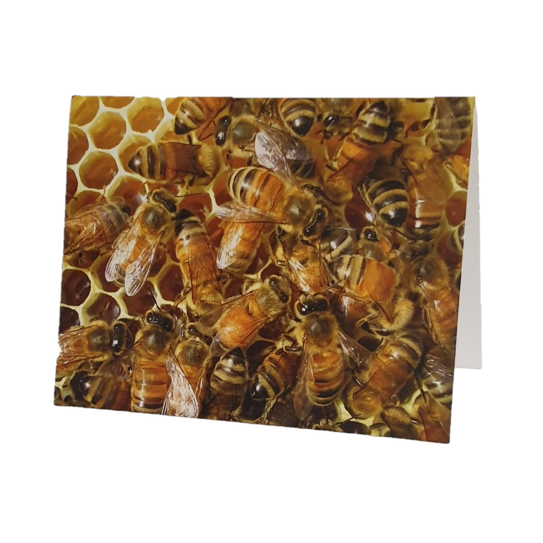 Assorted Apiaries 8 Photo Design Bee Cards