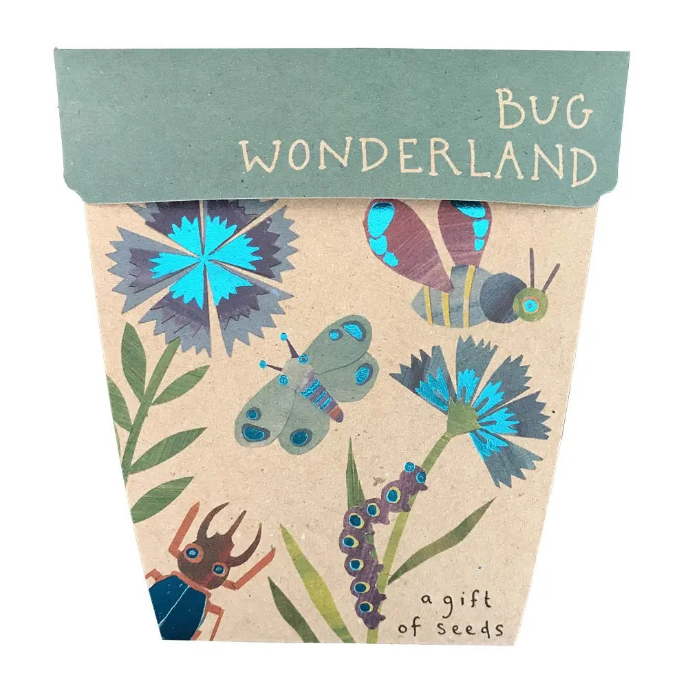 Gift of Seeds Card - Bug Wonderland