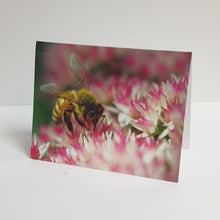 Load image into Gallery viewer, Assorted Apiaries 8 Photo Design Bee Cards

